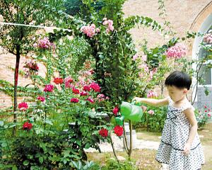 養(yǎng)花的文藝表達(dá)