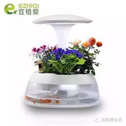 室內(nèi)養(yǎng)花愛掉葉