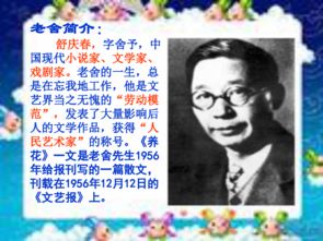 六級(jí)養(yǎng)花的教學(xué)