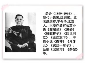 養(yǎng)花老舍六級基礎(chǔ)訓(xùn)練第四題