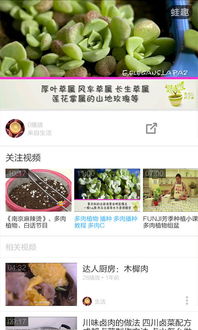 如何養(yǎng)花技巧軟件