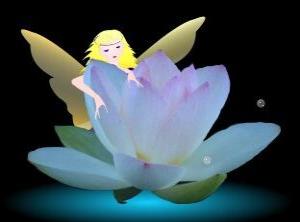 小學(xué)三級養(yǎng)花作文三級