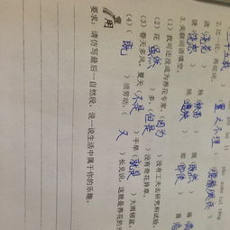 養(yǎng)花老舍共幾自然段
