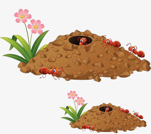 螞蟻窩的泥土可以養(yǎng)花嗎