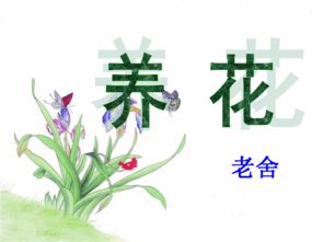 養(yǎng)花老舍概括段意