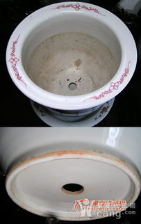 紅樓夢(mèng)八角花盆養(yǎng)花
