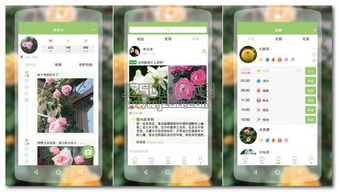 專門指導(dǎo)養(yǎng)花的平臺(tái)