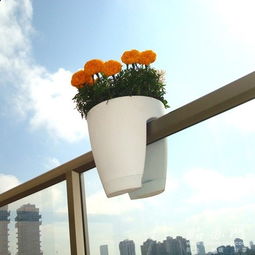 欄桿護欄上養(yǎng)花的花盆