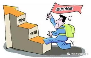 返鄉(xiāng)下鄉(xiāng)創(chuàng)業(yè)創(chuàng)新總結(jié)