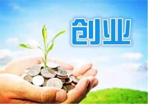 財政局,落實,創(chuàng)新,政策