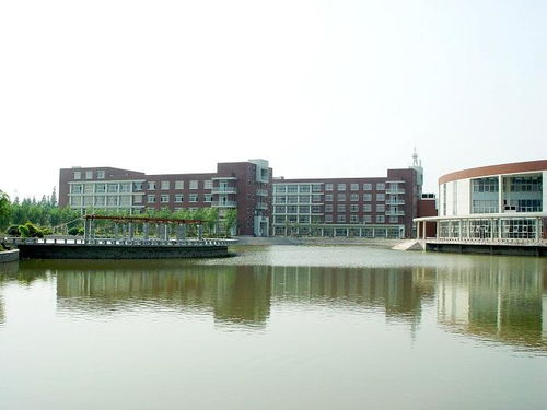 大賽,創(chuàng)新,創(chuàng)業(yè),揚州大學(xué)
