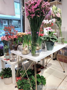 花店創(chuàng)新創(chuàng)業(yè)項(xiàng)目計(jì)劃書,花店創(chuàng)新創(chuàng)業(yè)項(xiàng)目計(jì)劃書PPT,花店創(chuàng)新創(chuàng)業(yè)項(xiàng)目計(jì)劃書怎么寫