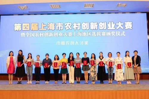 上海市級大學(xué)生創(chuàng)新創(chuàng)業(yè)項目,重慶市市級創(chuàng)新創(chuàng)業(yè)項目,創(chuàng)新創(chuàng)業(yè)項目計劃書