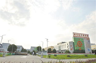 奉化溪口創(chuàng)新創(chuàng)業(yè)園項(xiàng)目