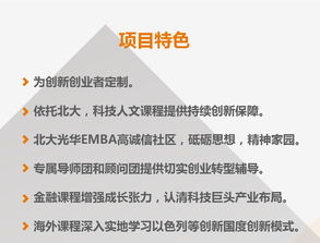 創(chuàng)業(yè)項(xiàng)目,創(chuàng)新,簡介