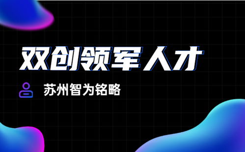 東吳科技創(chuàng)新創(chuàng)業(yè)計(jì)劃書