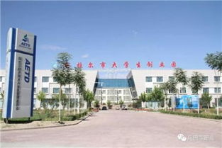 內(nèi)蒙古創(chuàng)新創(chuàng)業(yè)學(xué)院,內(nèi)蒙古創(chuàng)新創(chuàng)業(yè)大賽獲獎(jiǎng)作品,內(nèi)蒙古大學(xué)生創(chuàng)新創(chuàng)業(yè)
