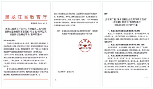 大學創(chuàng)新創(chuàng)業(yè)孵化平臺章程