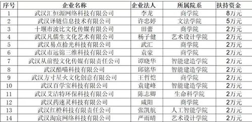 孵化,支出,資金,創(chuàng)新
