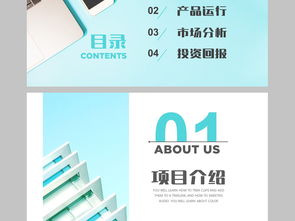 計(jì)劃書,融資,模板,創(chuàng)新