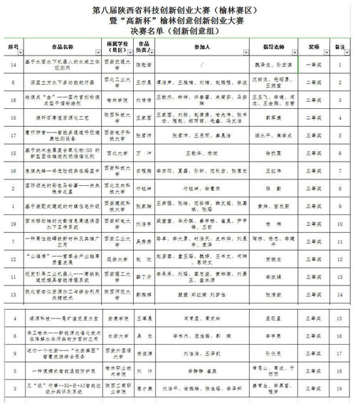 大賽,創(chuàng)新,創(chuàng)業(yè),結(jié)項(xiàng)表
