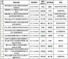 國家級創(chuàng)新創(chuàng)業(yè)項目名單