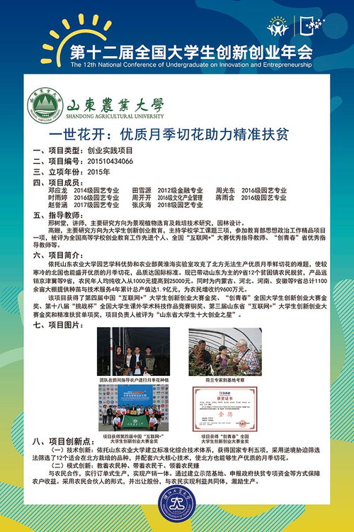 適合大學(xué)生創(chuàng)新創(chuàng)業(yè)的項目有哪些,大學(xué)生創(chuàng)新創(chuàng)業(yè)訓(xùn)練項目官網(wǎng),大學(xué)生創(chuàng)新創(chuàng)業(yè)刺繡項目