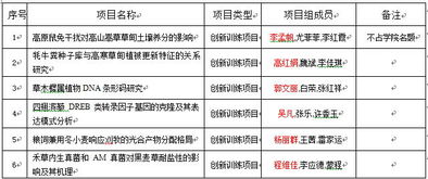 創(chuàng)業(yè)項目,劃分,級別,創(chuàng)新