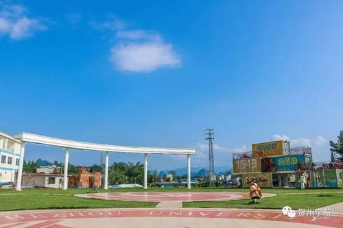 南開(kāi)大學(xué),西藏,創(chuàng)新,基地