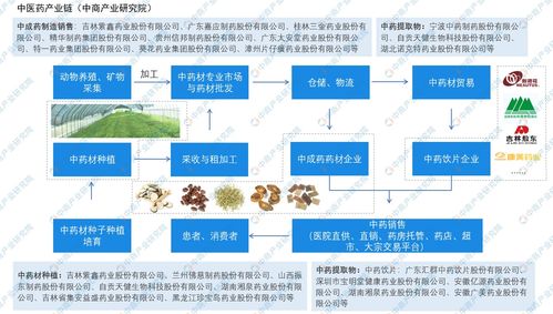 中醫(yī)藥創(chuàng)新創(chuàng)業(yè)的前景