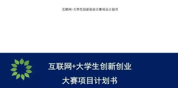 互聯(lián)網(wǎng)加大學(xué)生創(chuàng)新創(chuàng)業(yè)大賽項目計劃書