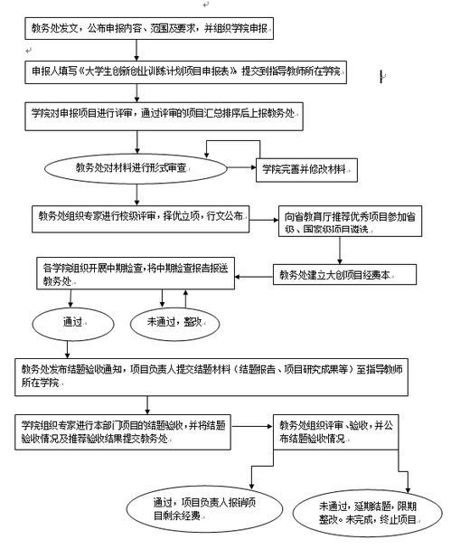 執(zhí)行情況,過(guò)程中,創(chuàng)業(yè)項(xiàng)目,財(cái)務(wù)