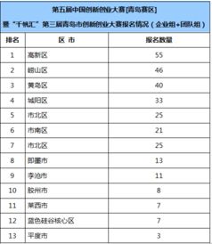 創(chuàng)新創(chuàng)業(yè)參賽項(xiàng)目匯總表