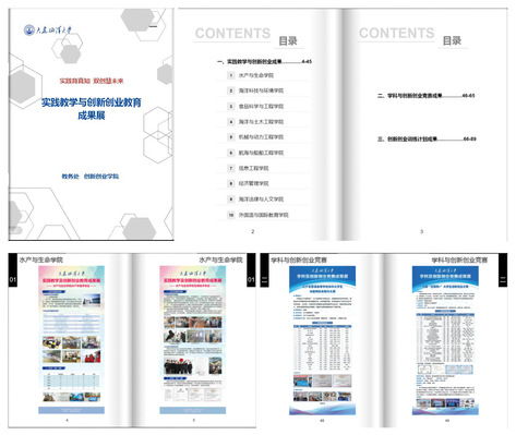 創(chuàng)新創(chuàng)業(yè)實(shí)踐活動(dòng)手冊(cè),大學(xué)生創(chuàng)新創(chuàng)業(yè)實(shí)踐活動(dòng),創(chuàng)新與創(chuàng)業(yè)實(shí)踐活動(dòng)心得