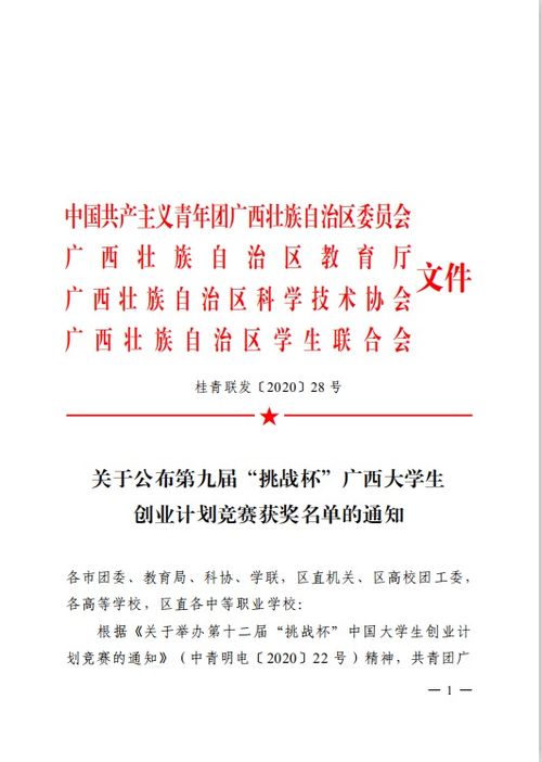 創(chuàng)新創(chuàng)業(yè)挑戰(zhàn)杯計(jì)劃書