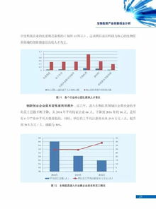 總結(jié)報告,創(chuàng)新,創(chuàng)業(yè),活動