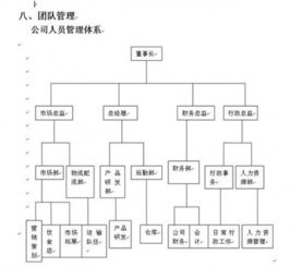 創(chuàng)新創(chuàng)業(yè)計劃書800字左右