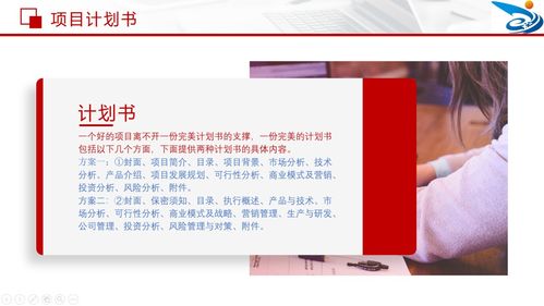 計(jì)劃書(shū),附錄,創(chuàng)業(yè)項(xiàng)目,創(chuàng)新