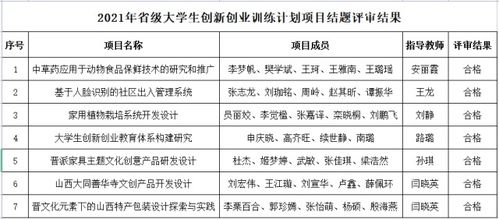 創(chuàng)業(yè)項(xiàng)目,結(jié)題,等級(jí),創(chuàng)新