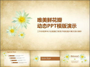 大學(xué)創(chuàng)新創(chuàng)業(yè)課創(chuàng)業(yè)計(jì)劃書,花店創(chuàng)新創(chuàng)業(yè)計(jì)劃書,大學(xué)生創(chuàng)新創(chuàng)業(yè)計(jì)劃書