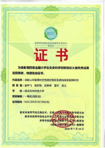 江西省挑戰(zhàn)杯大學生創(chuàng)新創(chuàng)業(yè)大賽觀后感