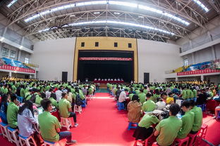 山東省大學(xué)生創(chuàng)新創(chuàng)業(yè)訓(xùn)練計(jì)劃平臺(tái),山東省大學(xué)生創(chuàng)新創(chuàng)業(yè)官網(wǎng),山東省大學(xué)生創(chuàng)新創(chuàng)業(yè)賽事服務(wù)平臺(tái)