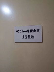 問卷調(diào)查,實習報告,創(chuàng)新,創(chuàng)業(yè)