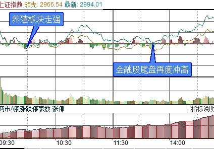 創(chuàng)業(yè)板創(chuàng)新哪些龍頭股票代碼
