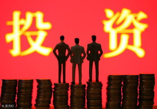 投資是創(chuàng)新創(chuàng)業(yè)項(xiàng)目孵化的一種形式