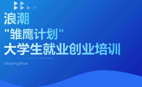 大學(xué)生創(chuàng)業(yè),創(chuàng)新