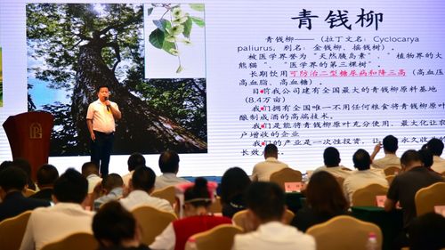 關(guān)于旅游方面的創(chuàng)新創(chuàng)業(yè),旅游創(chuàng)新創(chuàng)業(yè)方案,旅游創(chuàng)新創(chuàng)業(yè)項目名稱