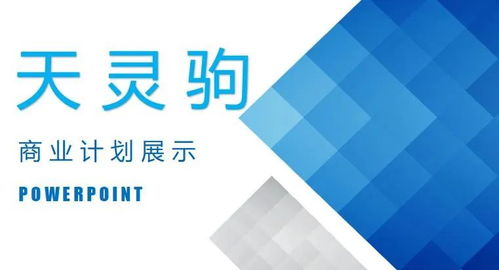 輔導(dǎo)班,商業(yè)計劃書,創(chuàng)新,創(chuàng)業(yè)