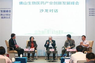 佛山市,團(tuán)隊(duì),創(chuàng)新,創(chuàng)業(yè)