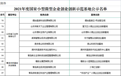 創(chuàng)業(yè)創(chuàng)新基地支出明細(xì)